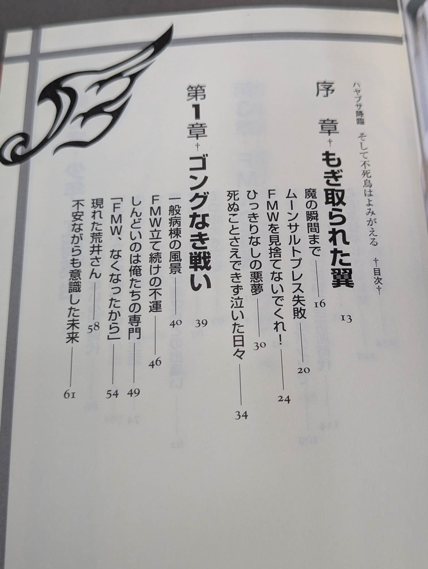 HAYABUSA  descends and the phoenix is revived