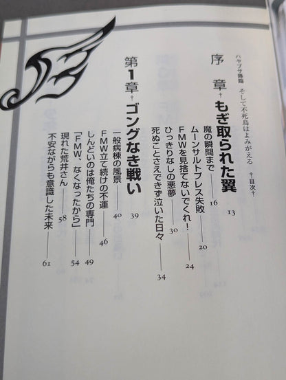 HAYABUSA  descends and the phoenix is revived