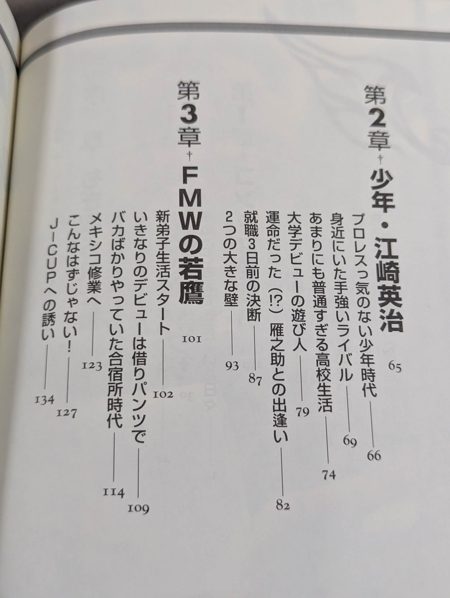 HAYABUSA  descends and the phoenix is revived