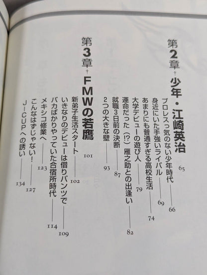 HAYABUSA  descends and the phoenix is revived