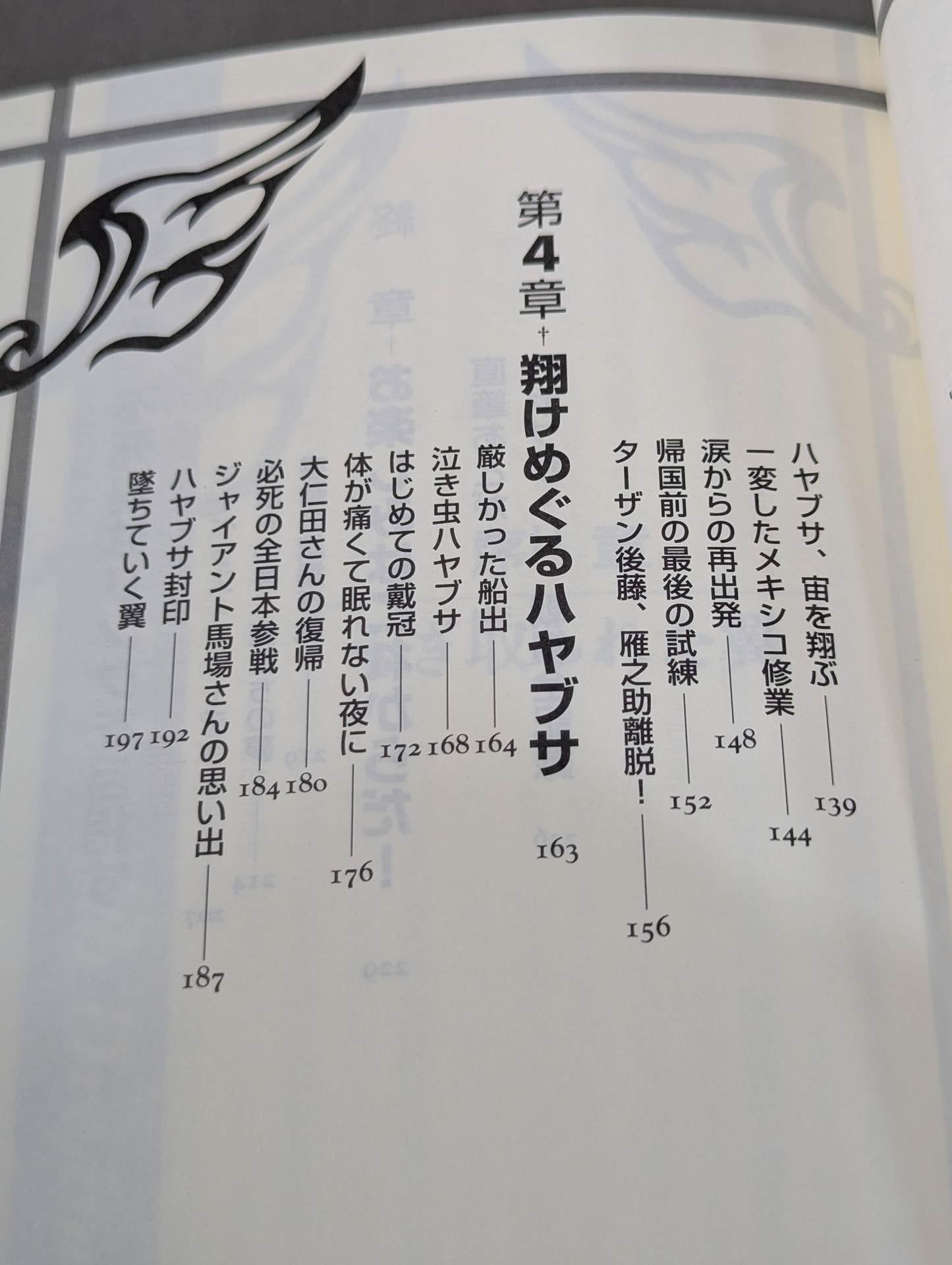 HAYABUSA  descends and the phoenix is revived