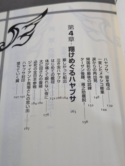 HAYABUSA  descends and the phoenix is revived