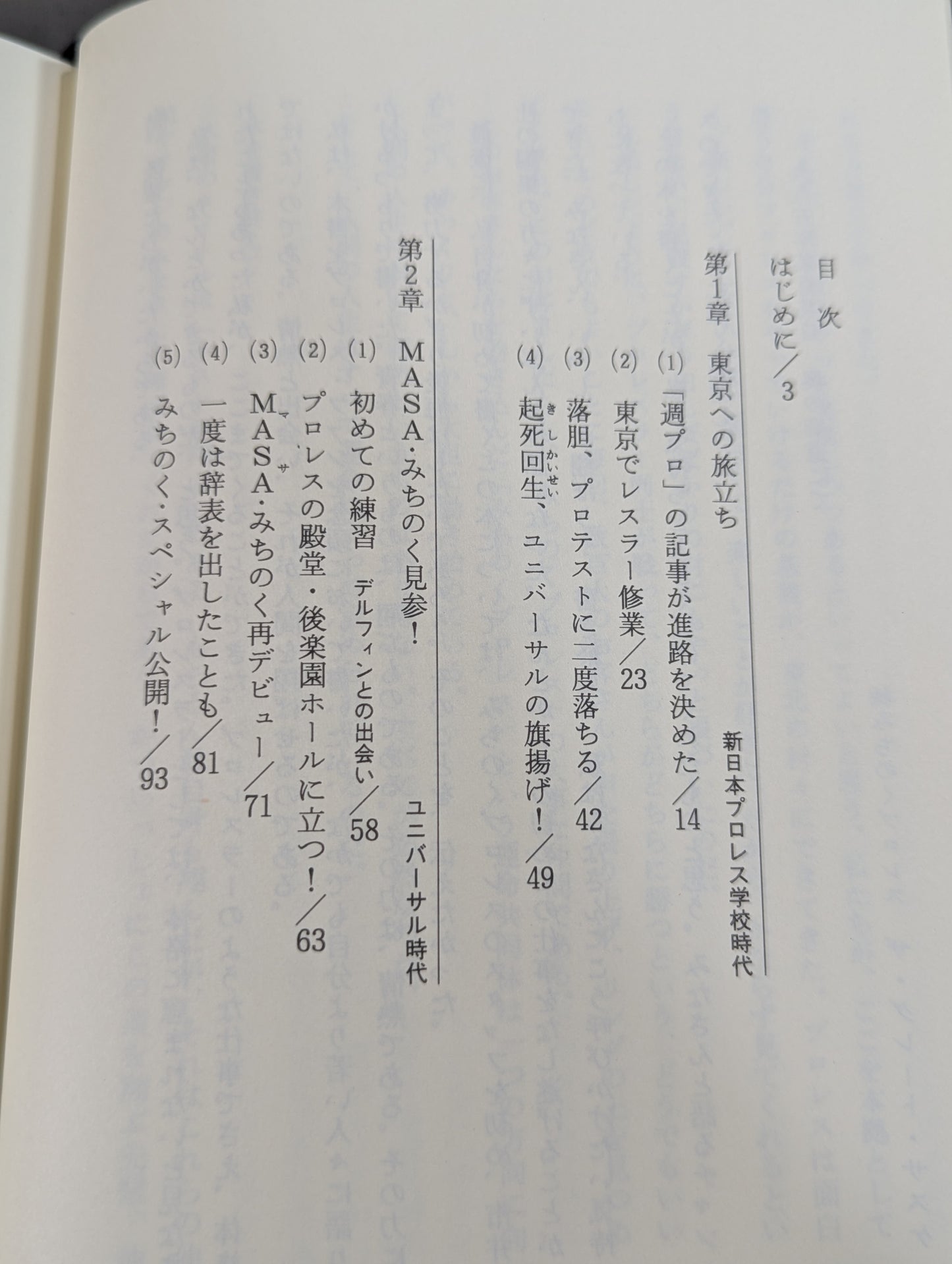 サスケが翔ぶ