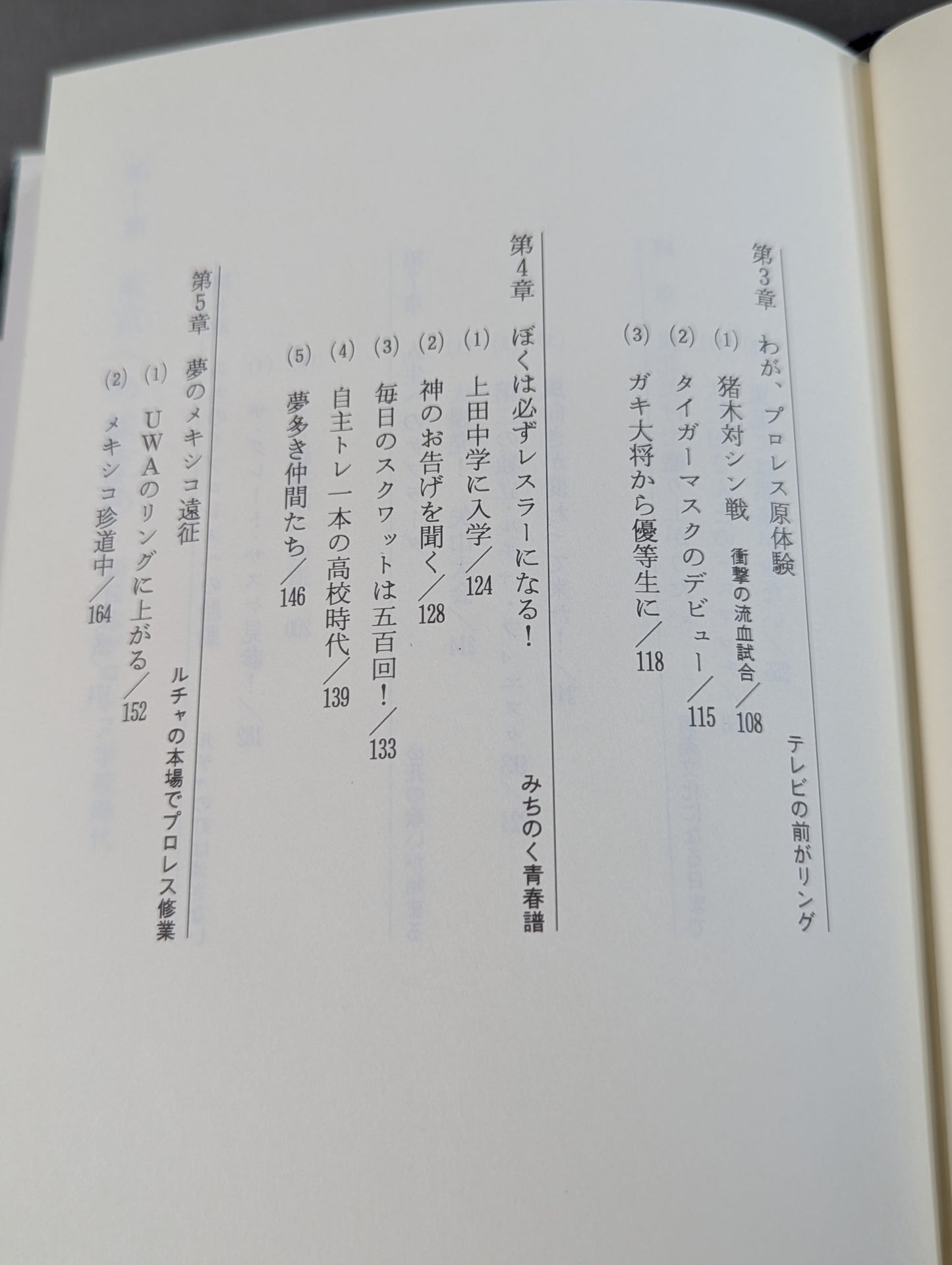 サスケが翔ぶ