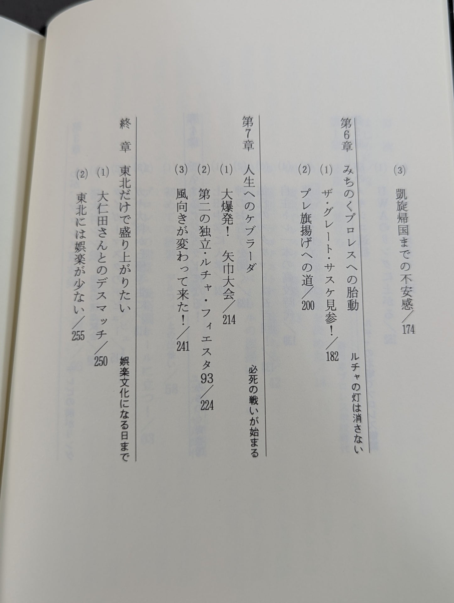 サスケが翔ぶ
