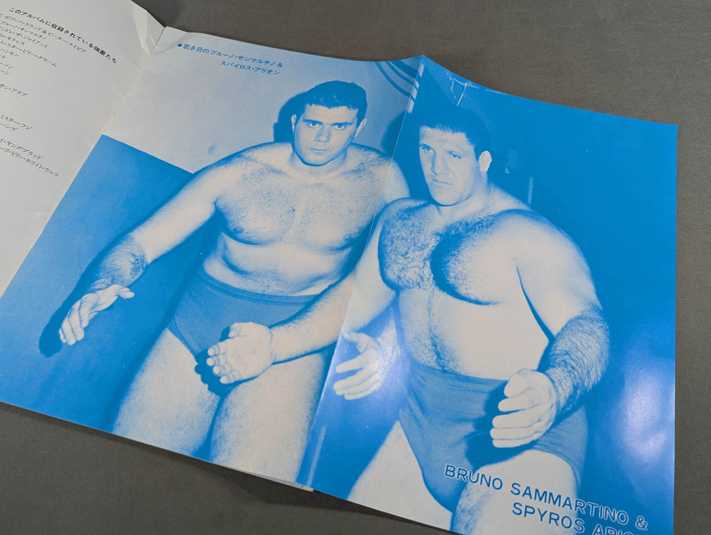 WWFオールスター レスリング・アルバム