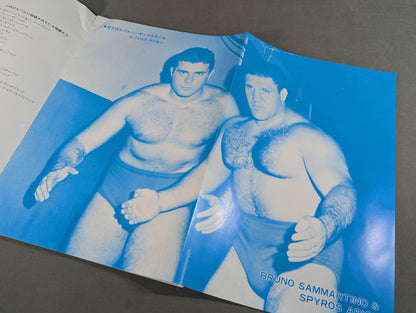 WWFオールスター レスリング・アルバム