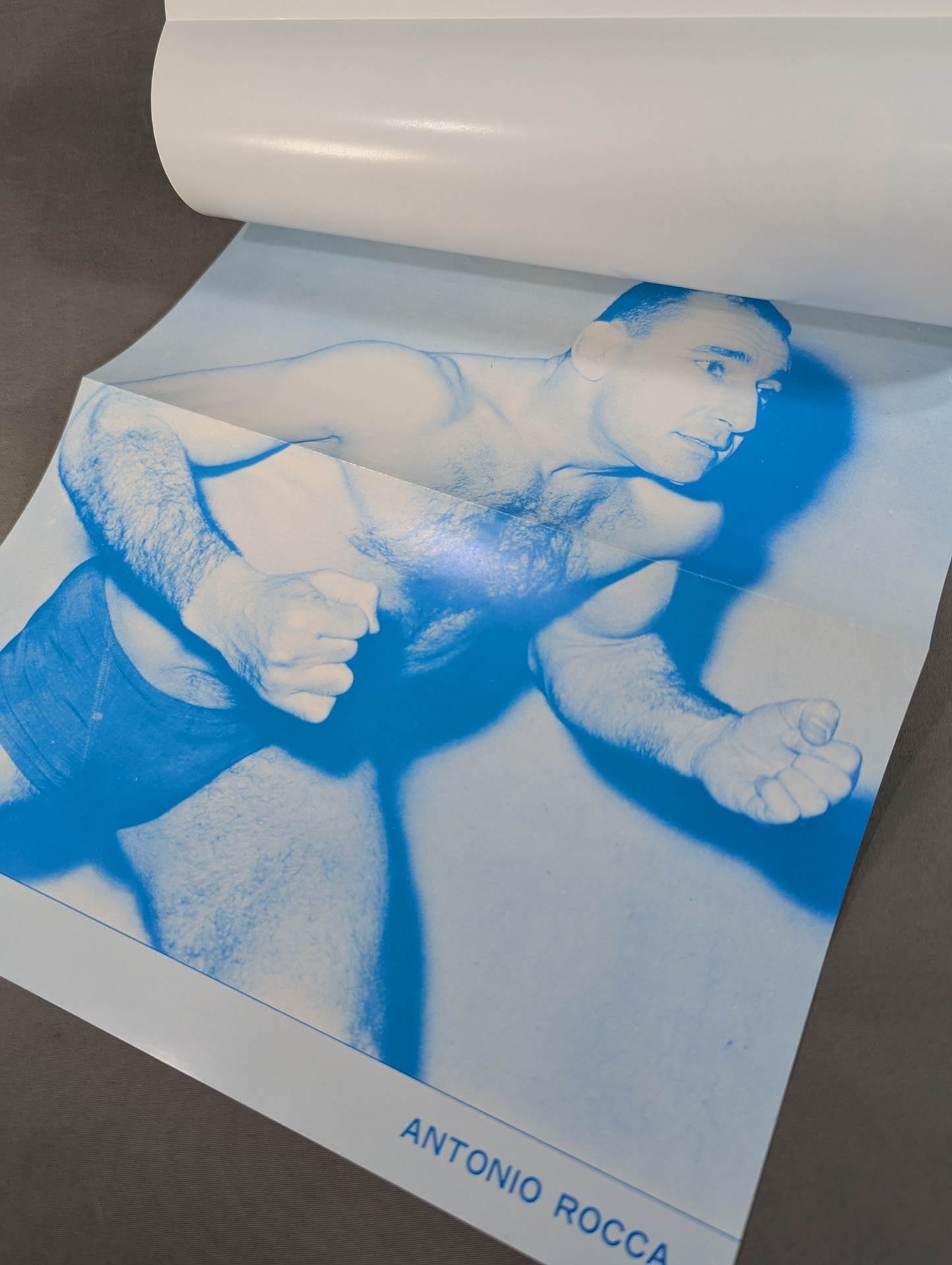 WWFオールスター レスリング・アルバム