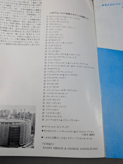 WWFオールスター レスリング・アルバム