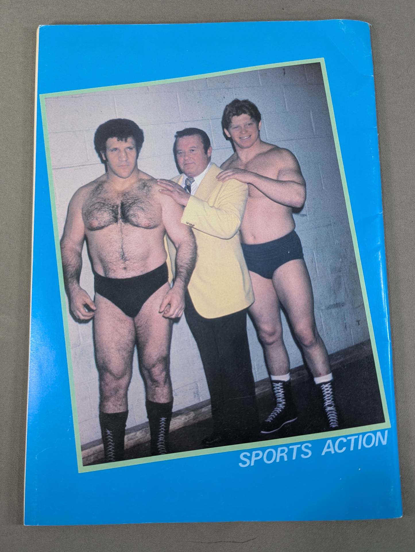 WWFオールスター レスリング・アルバム