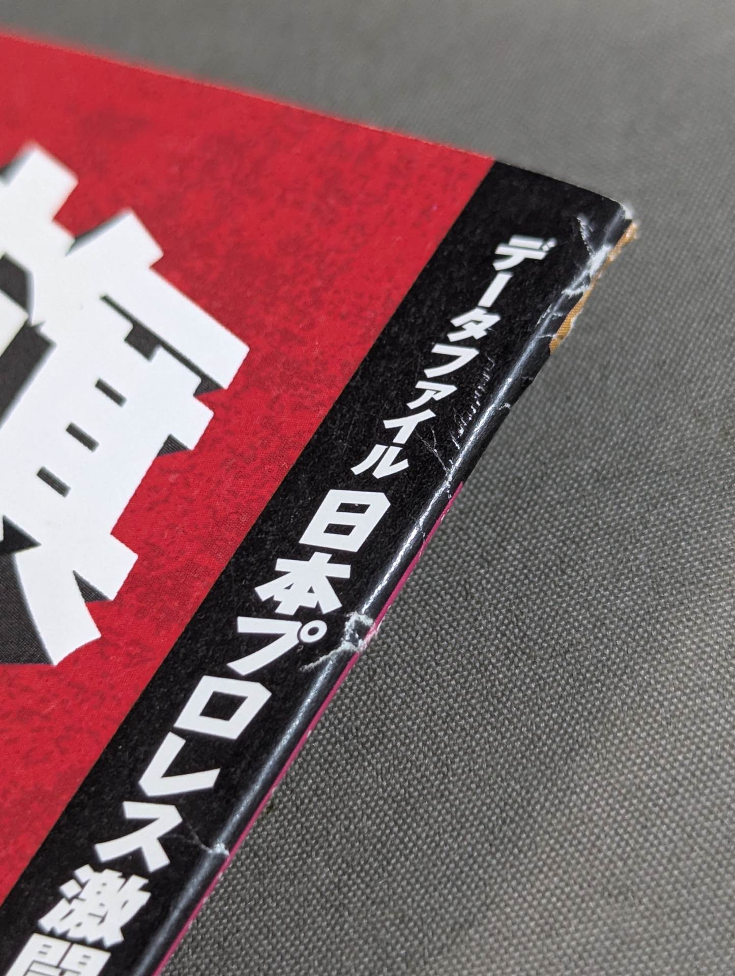 日本プロレス激闘60年史 (22) – 闘道館