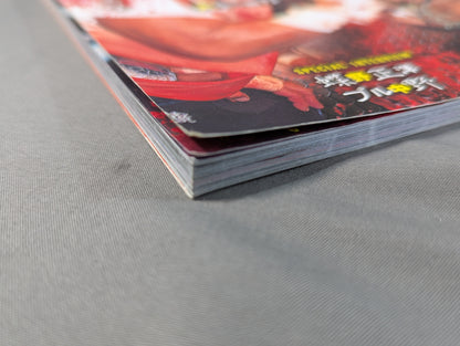 プロレス デスマッチ血闘録