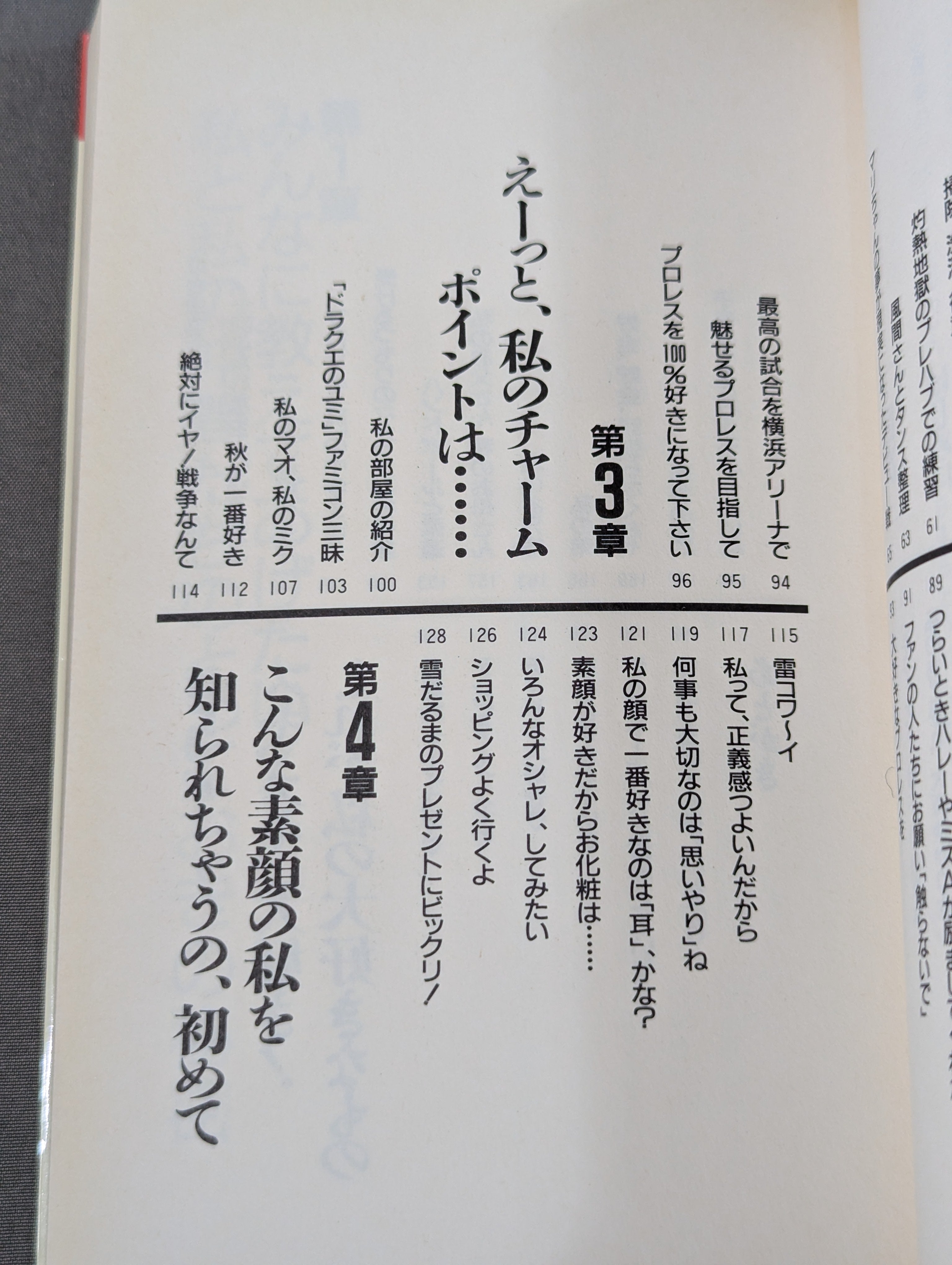 【直筆サイン/日付入】山口ヒロキ監督 ボブ鈴木 メサイア外伝 チラシ 【激レア】 キューティー鈴木 直筆サイン入り】青春に負けないで!! – 闘道館