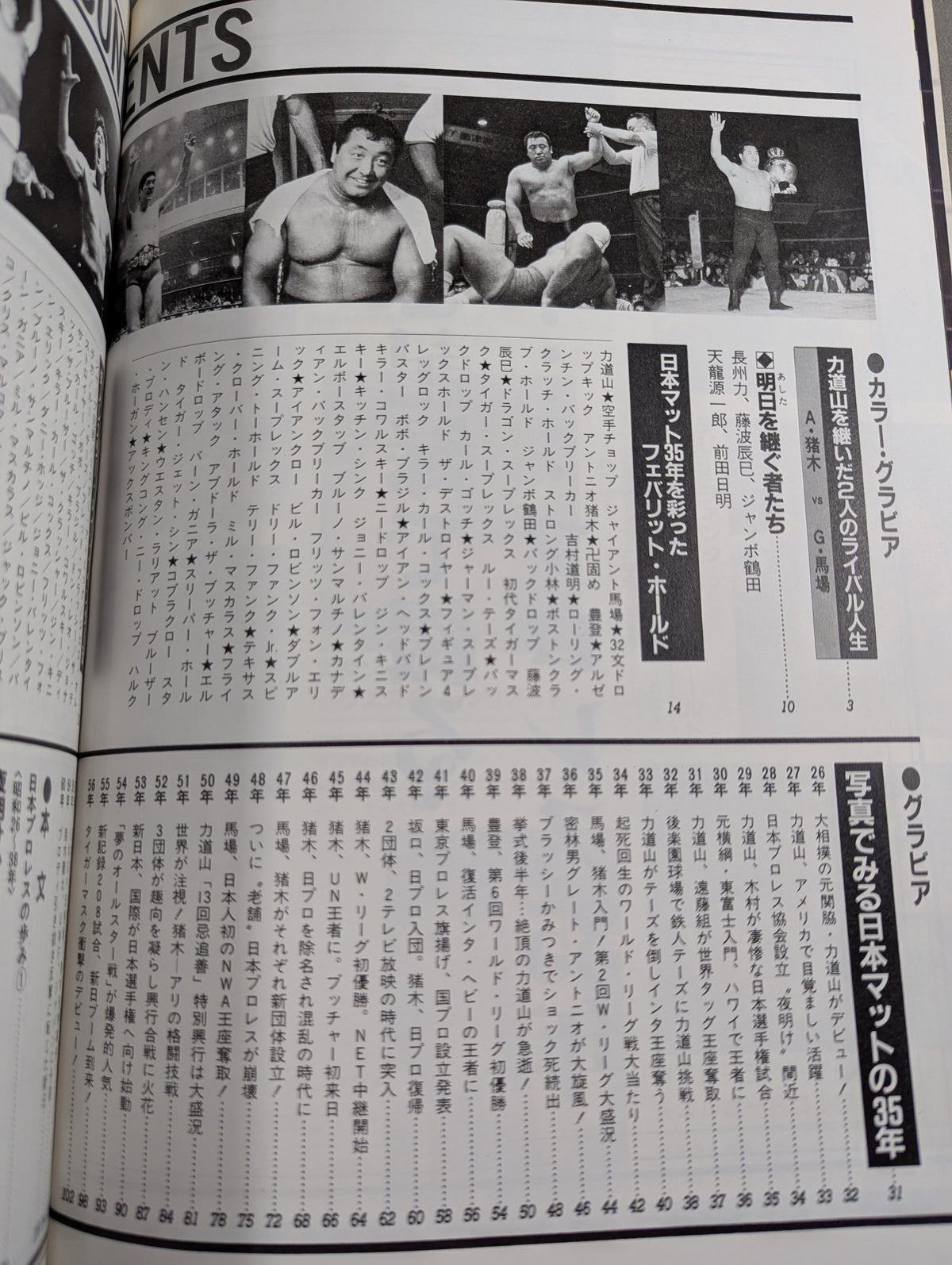 1945~198540 Years of Turbulent Sports (6) Pro Wrestling  Treasured A tumultuous history written with a photo
