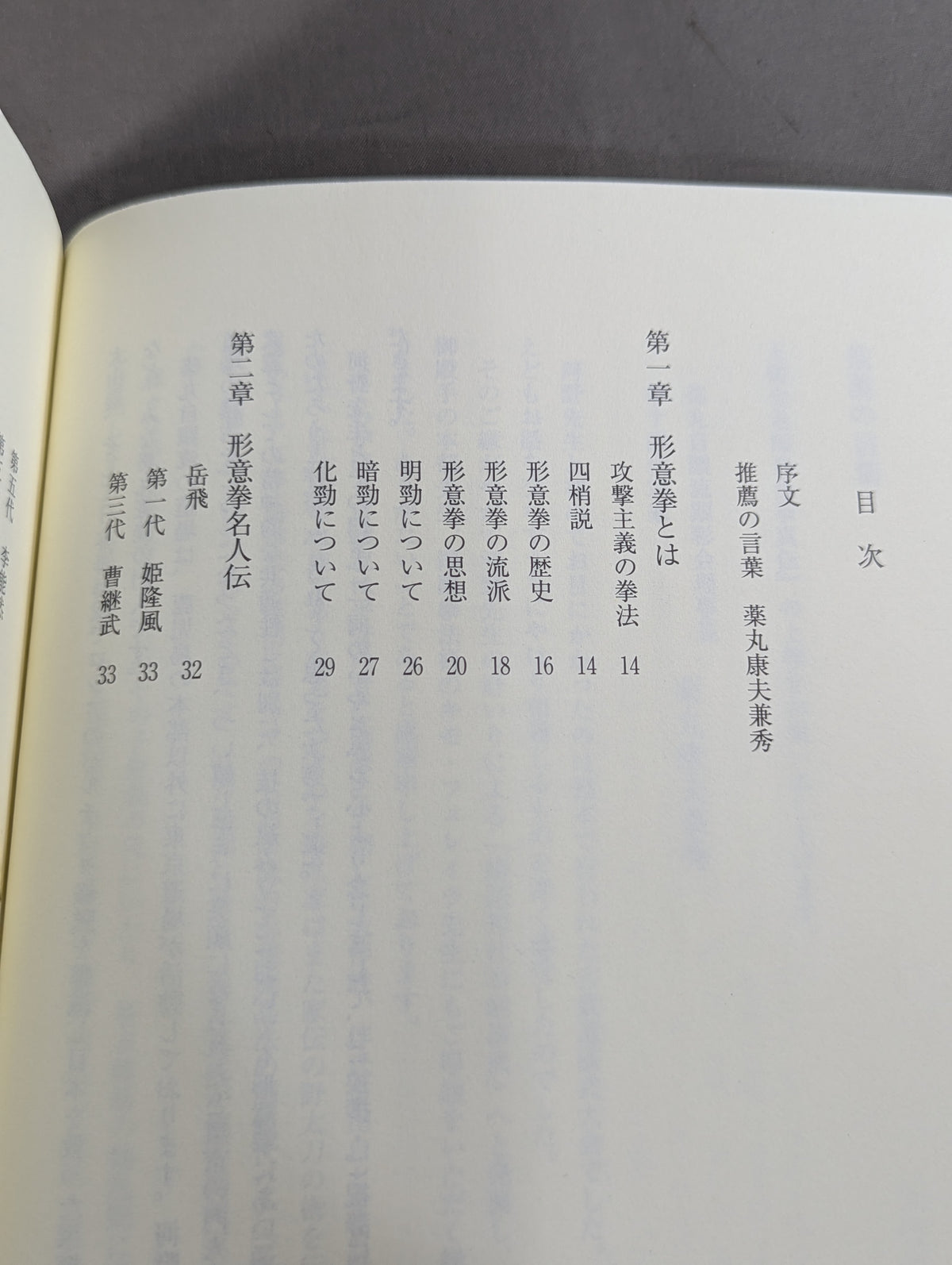 Master Wang Shujin: True Transmission of Xingyi Quan