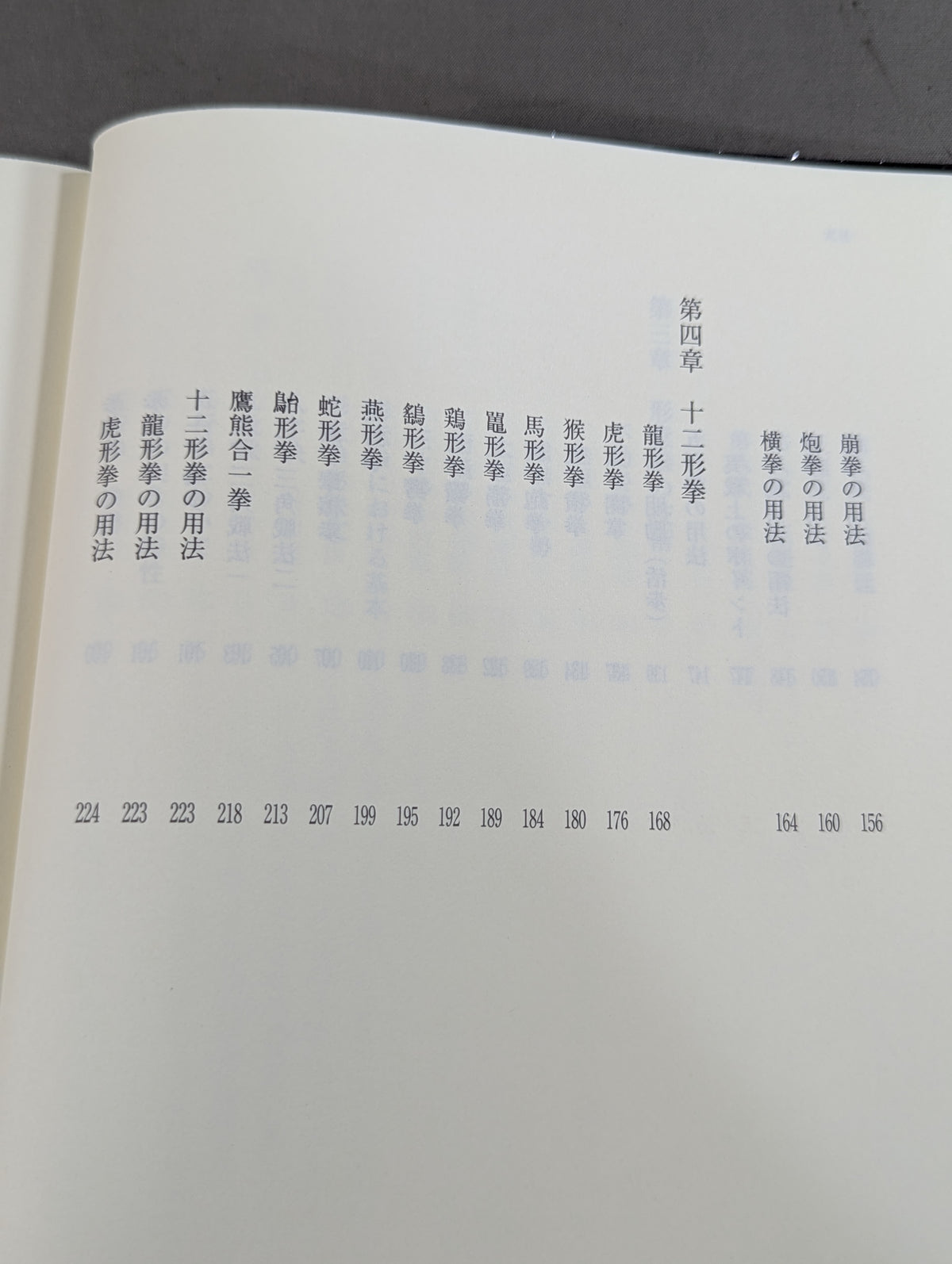 Master Wang Shujin: True Transmission of Xingyi Quan