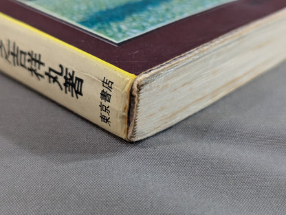 Illustrated Guide: Complete Aikido Self-Study Manual