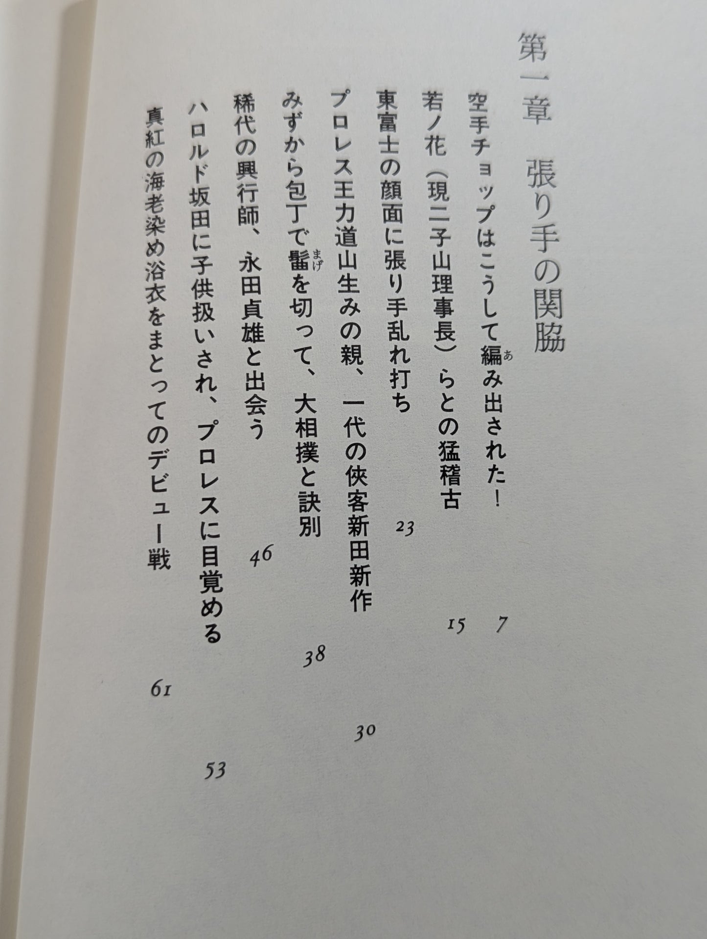 Eternal Rikidozan  Pro Wrestling  Romance of the Three Kingdoms