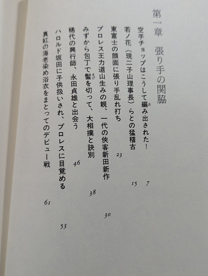 Eternal Rikidozan  Pro Wrestling  Romance of the Three Kingdoms