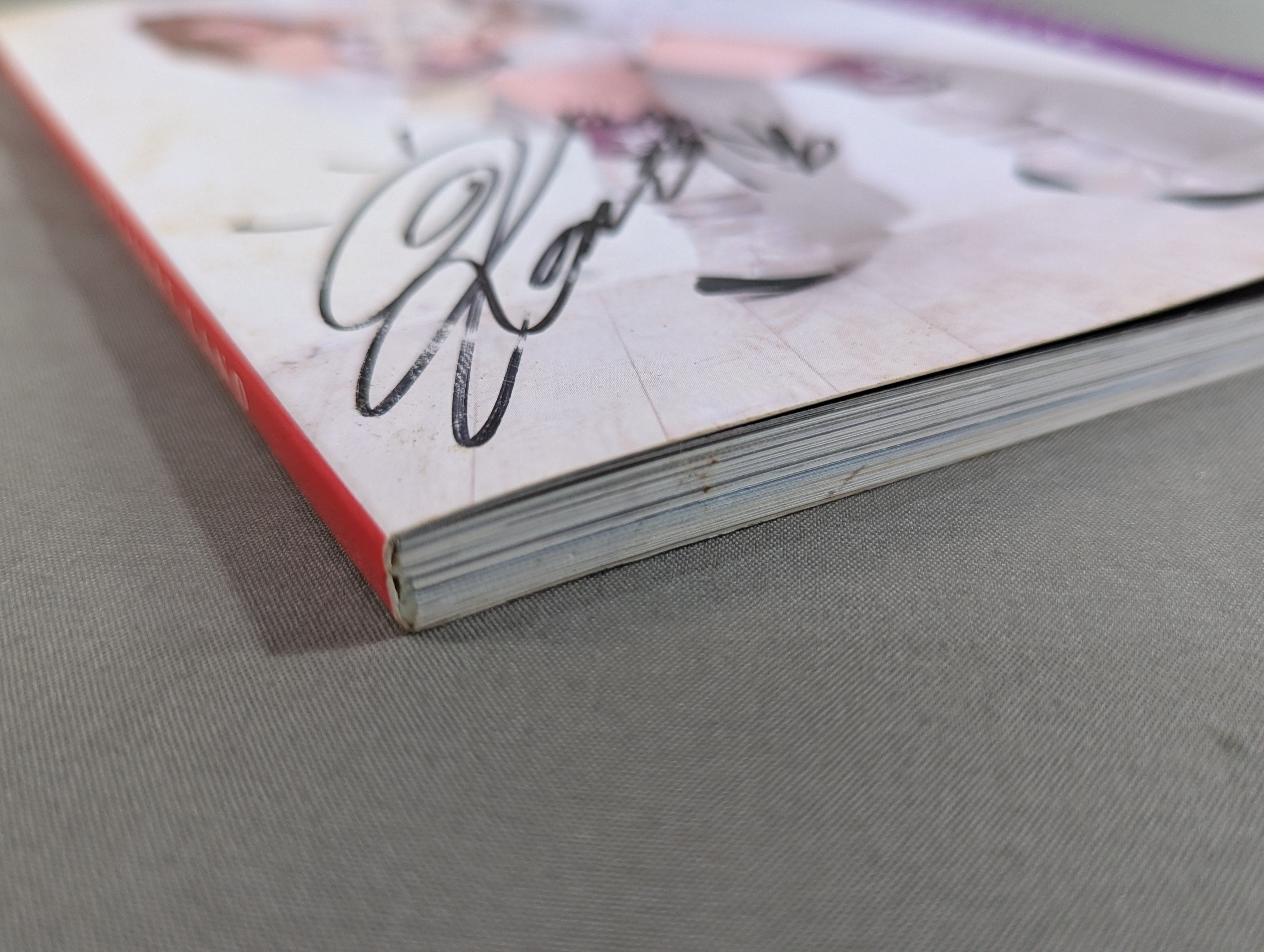 直筆サイン入り】宝城カイリ PHOTO BOOK TREASURE LAND – 闘道館