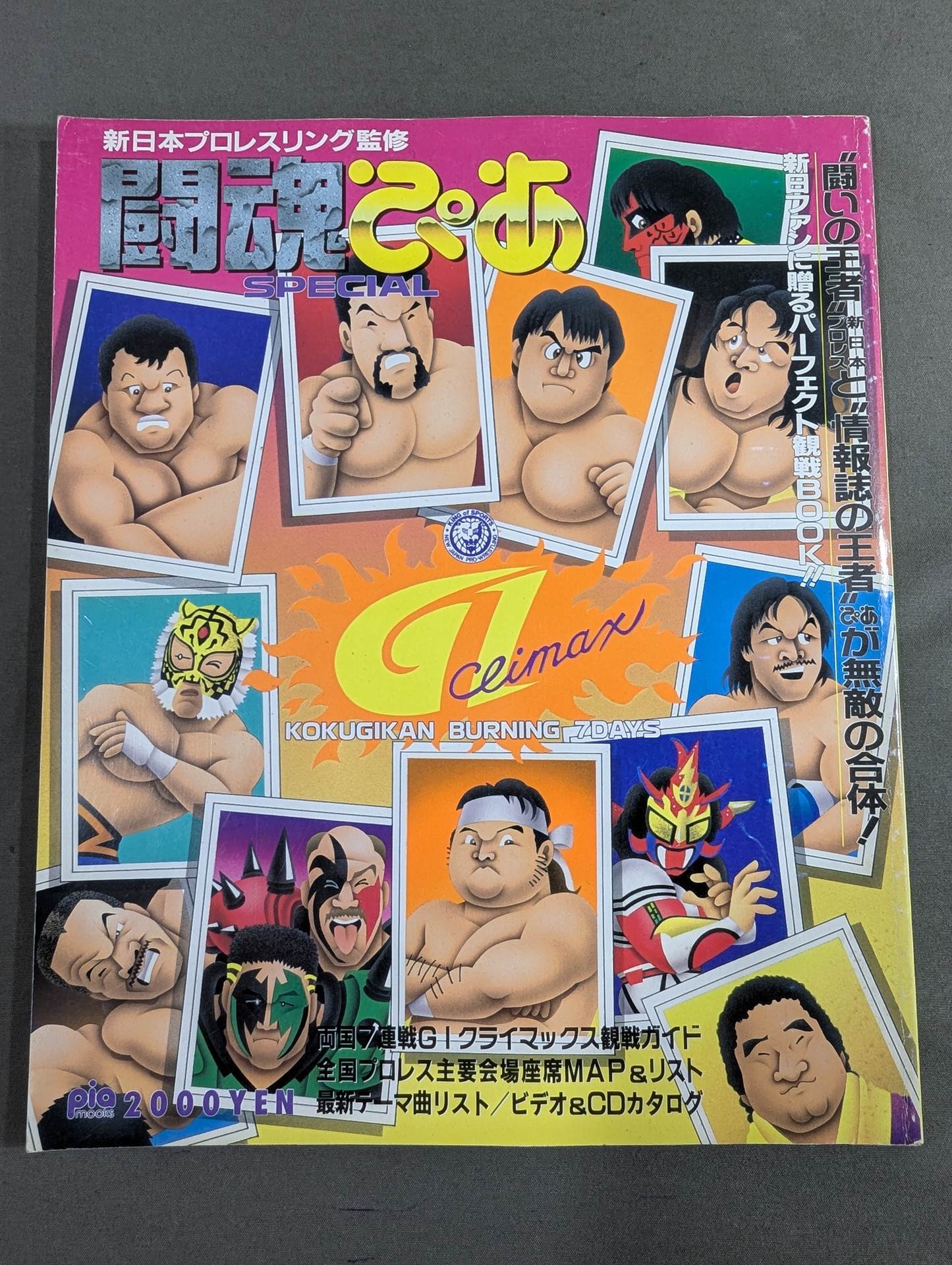 闘魂ぴあ SPECIAL