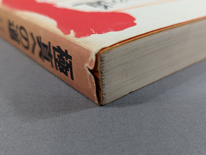 The Road to Kyokushin My KARATE Philosophy