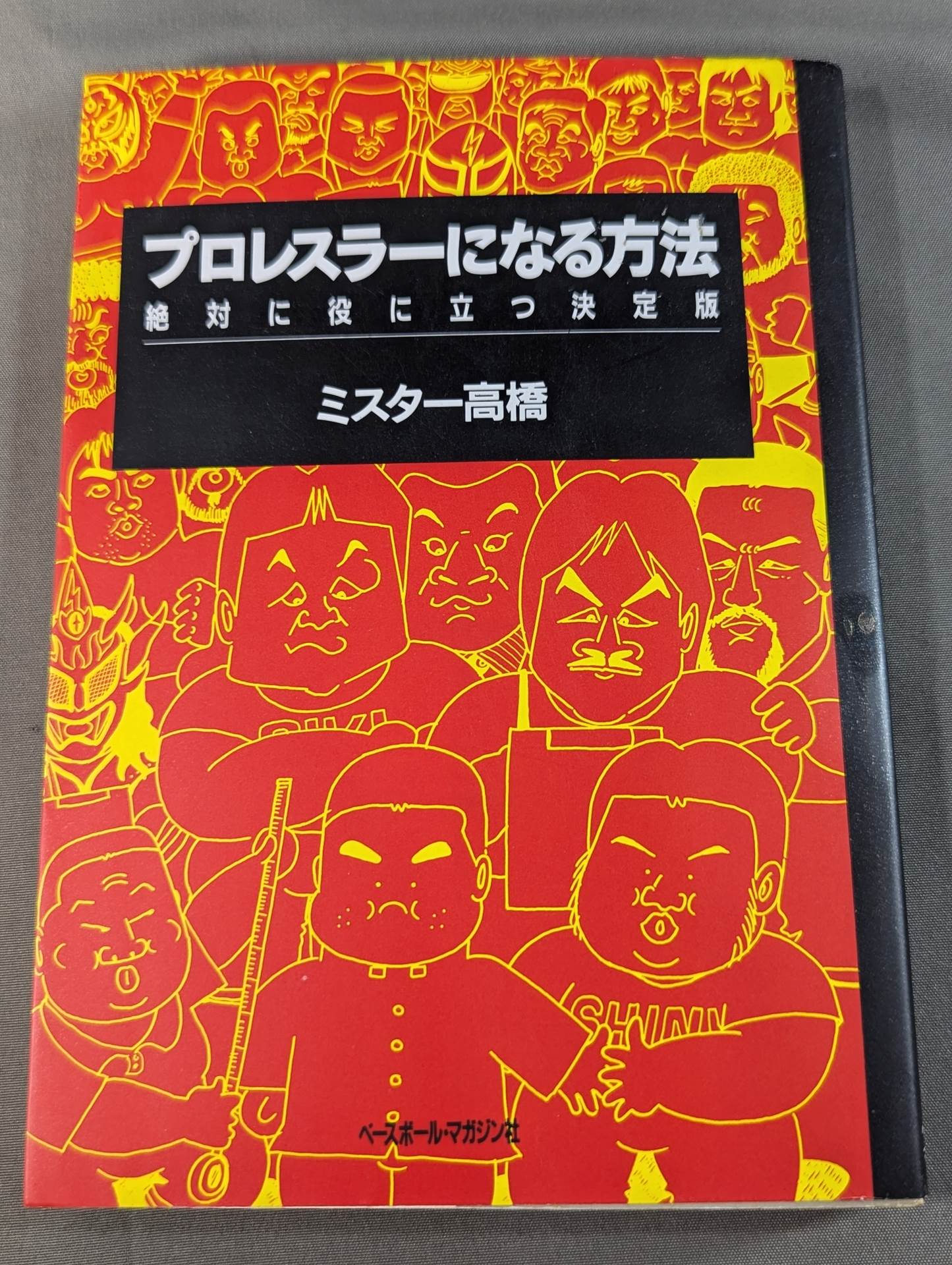 How to become a pro wrestler  Absolutely useful definitive edition