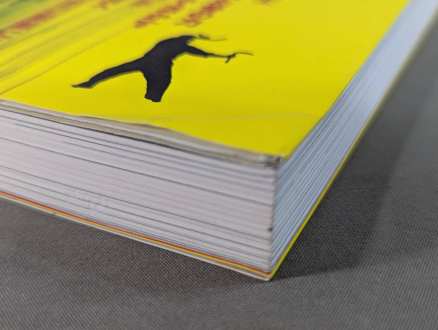 【DVD付】達人シリーズ第十三巻 沖縄空手も合気道も本当はこんなに強かった