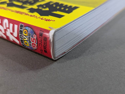 【DVD付】達人シリーズ第十三巻 沖縄空手も合気道も本当はこんなに強かった