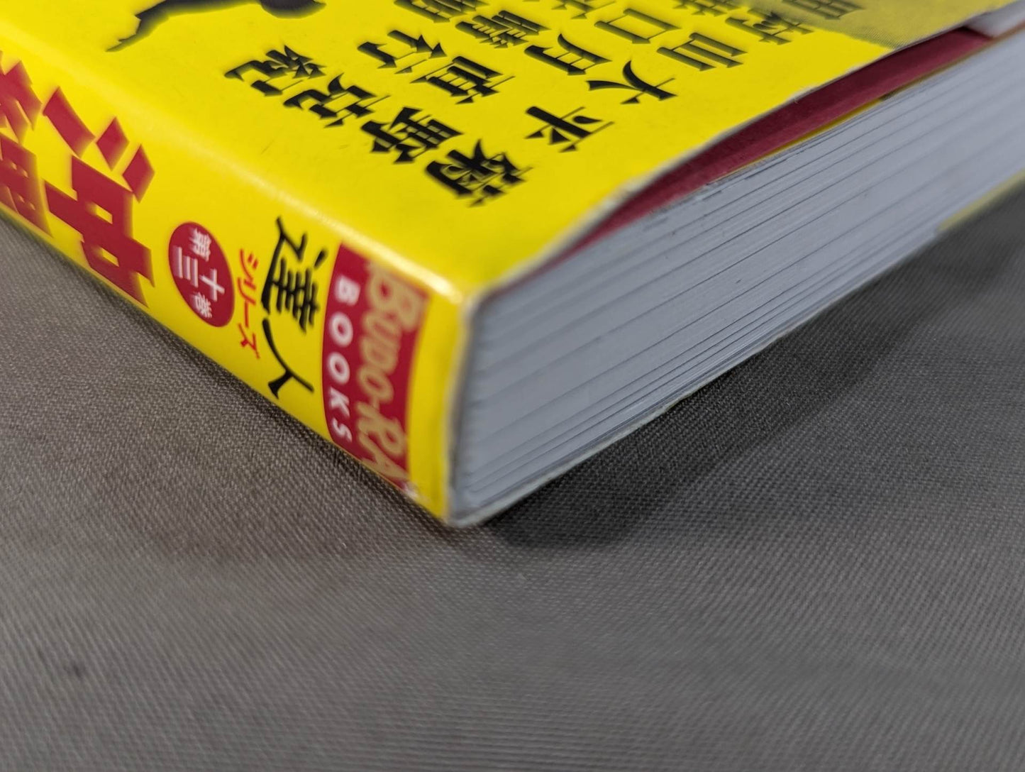 【DVD付】達人シリーズ第十三巻 沖縄空手も合気道も本当はこんなに強かった