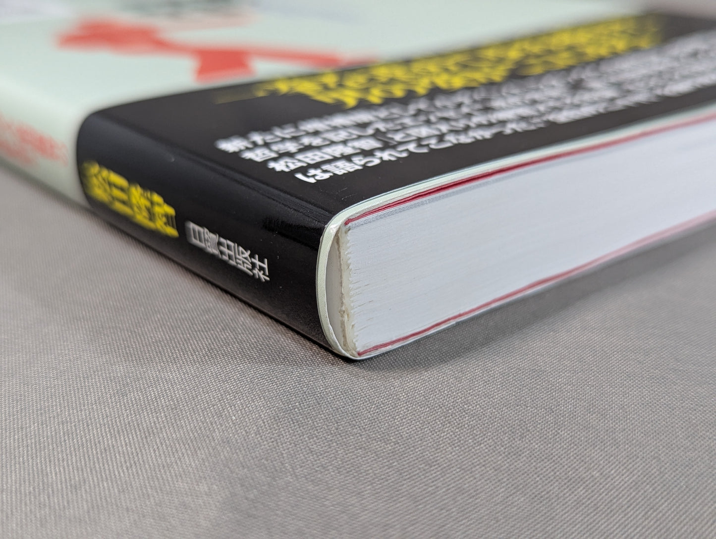[New Expanded Edition] In Search of Mysterious Kenpo: Tracing the Footsteps of Martial Artist Takashi Matsuda