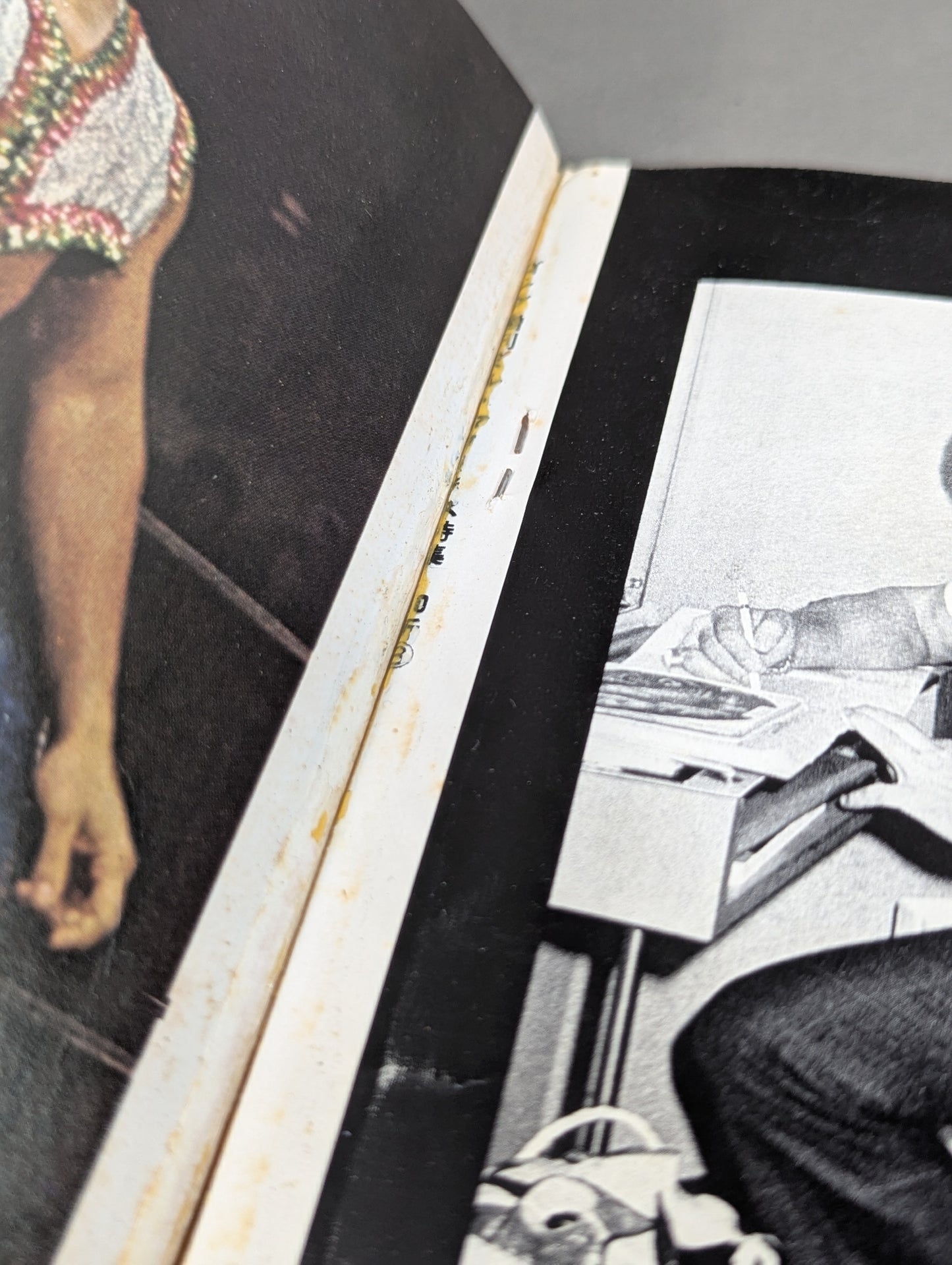 ミル・マスカラス その華麗なる世界