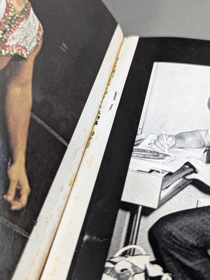 ミル・マスカラス その華麗なる世界