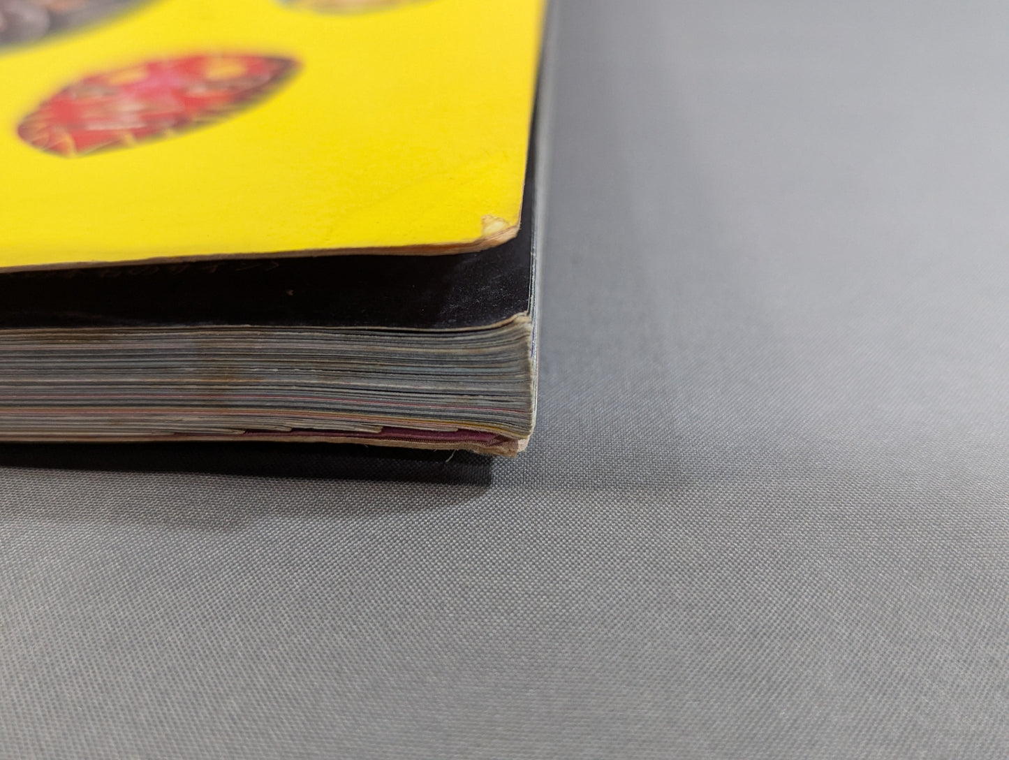 ミル・マスカラス その華麗なる世界