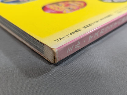 ミル・マスカラス その華麗なる世界