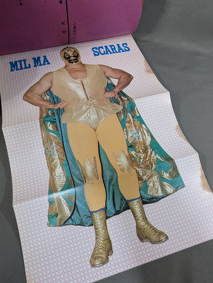 ミル・マスカラス その華麗なる世界