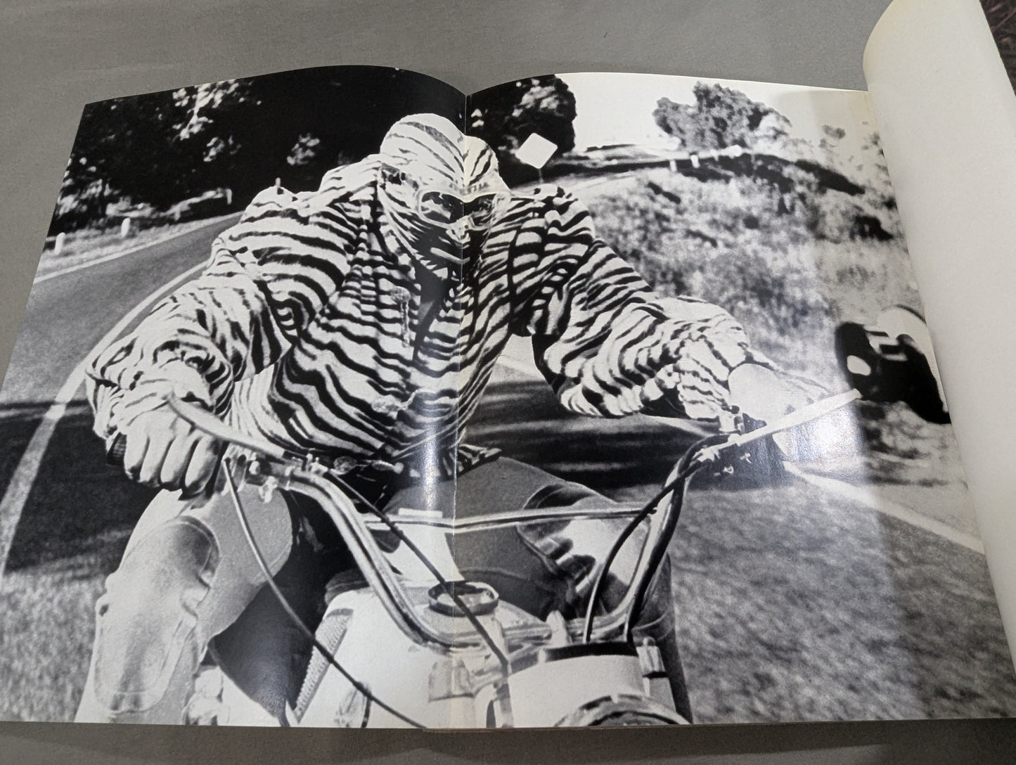 ミル・マスカラス その華麗なる世界