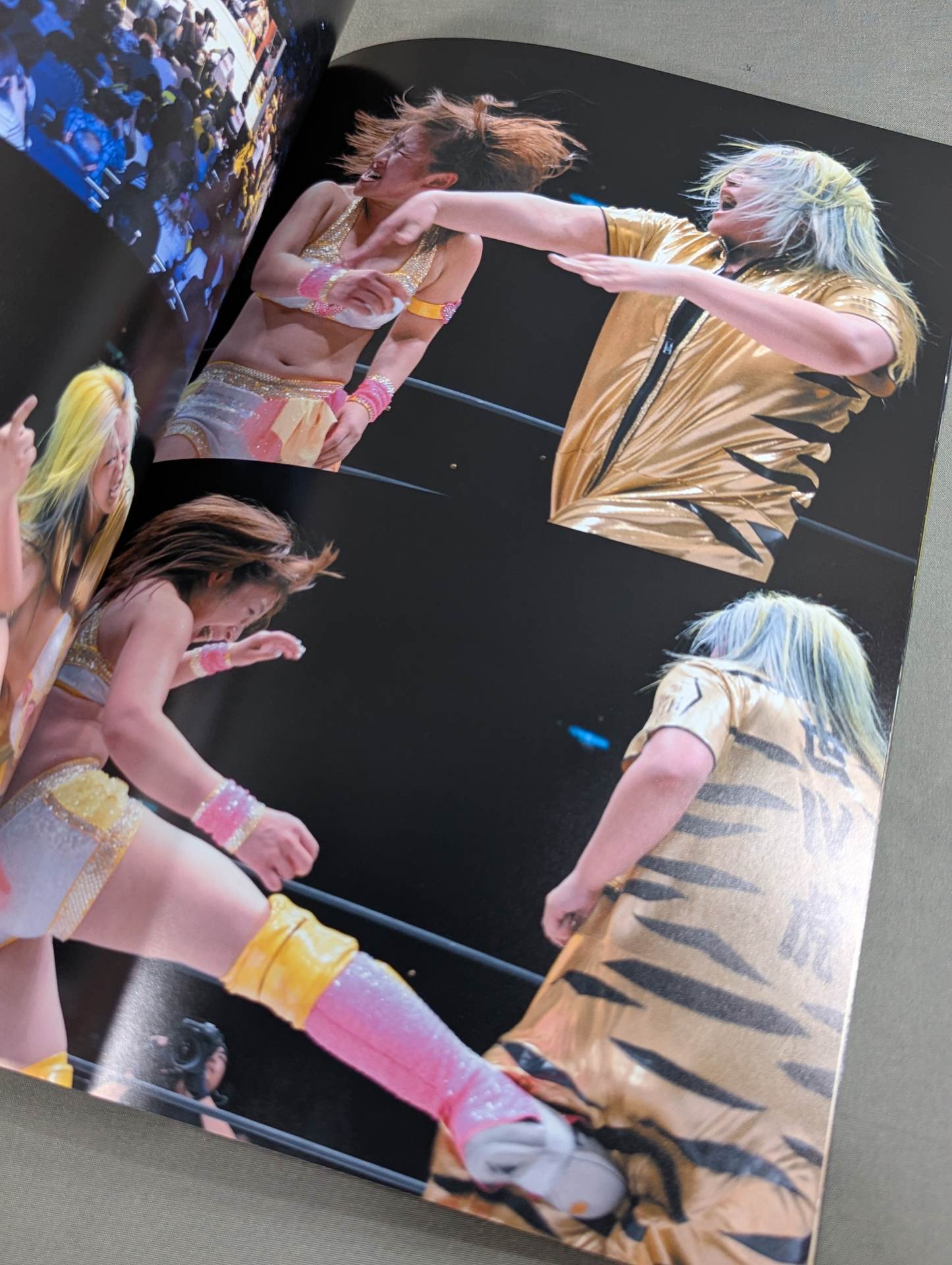 WORLD WONDER RING STARDOM OFFICIAL BOOK / スターダム 両国シンデレラ