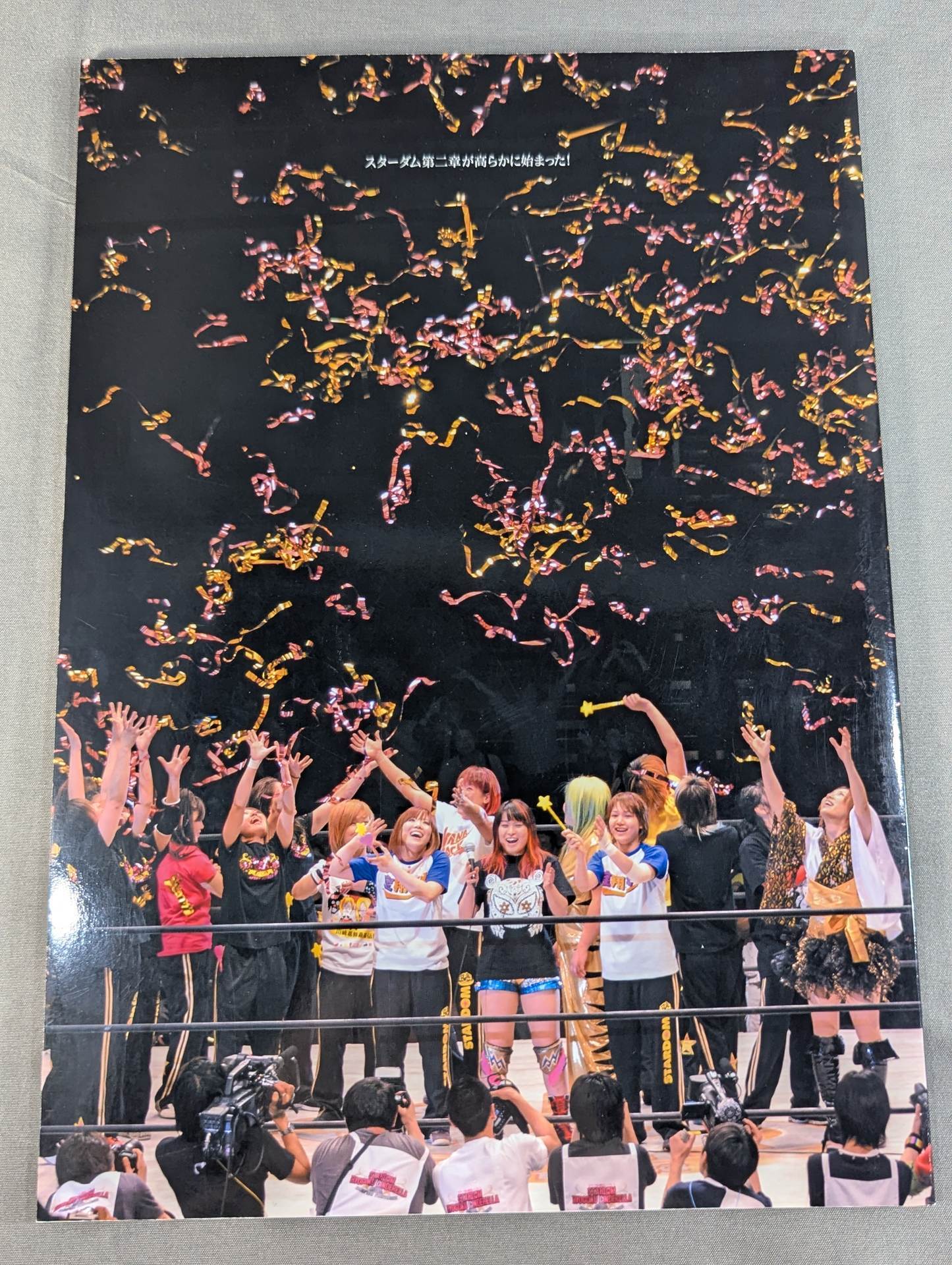 WORLD WONDER RING STARDOM OFFICIAL BOOK / Stardom Ryogoku  Cinderella