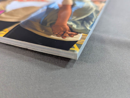 WORLD WONDER RING STARDOM OFFICIAL BOOK / スターダム 両国シンデレラ