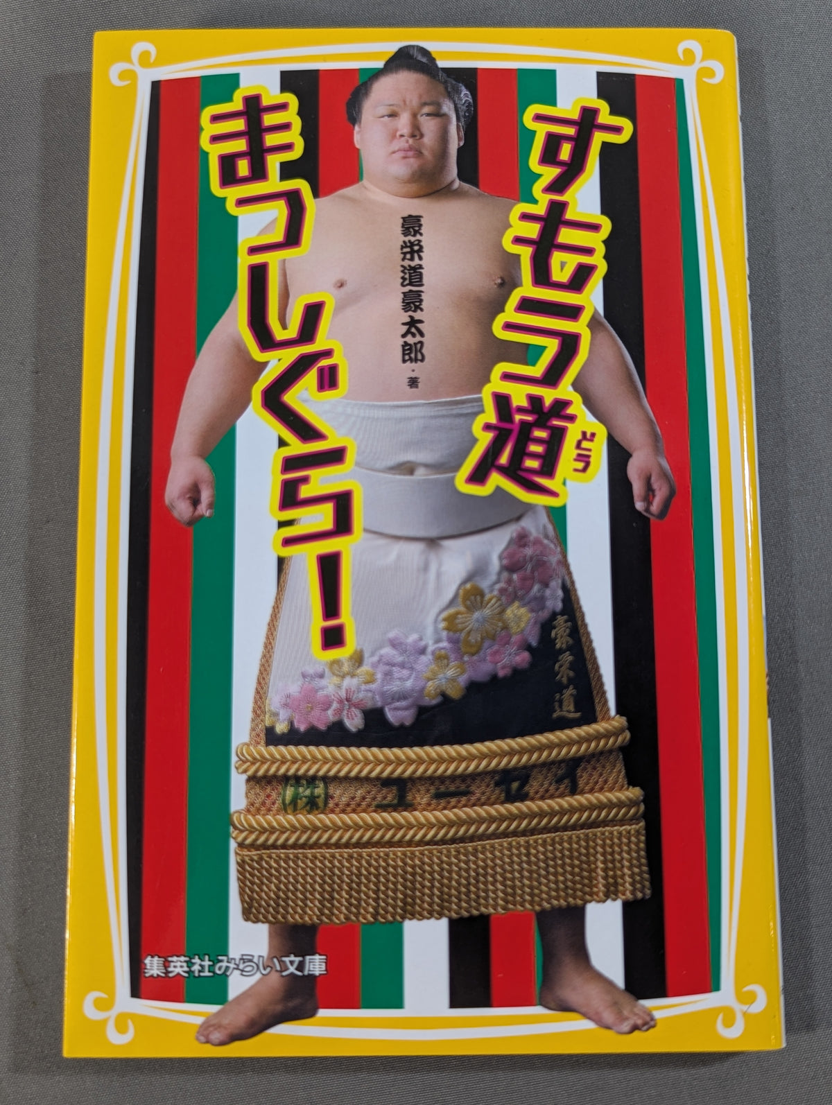 すもう道まっしぐら!