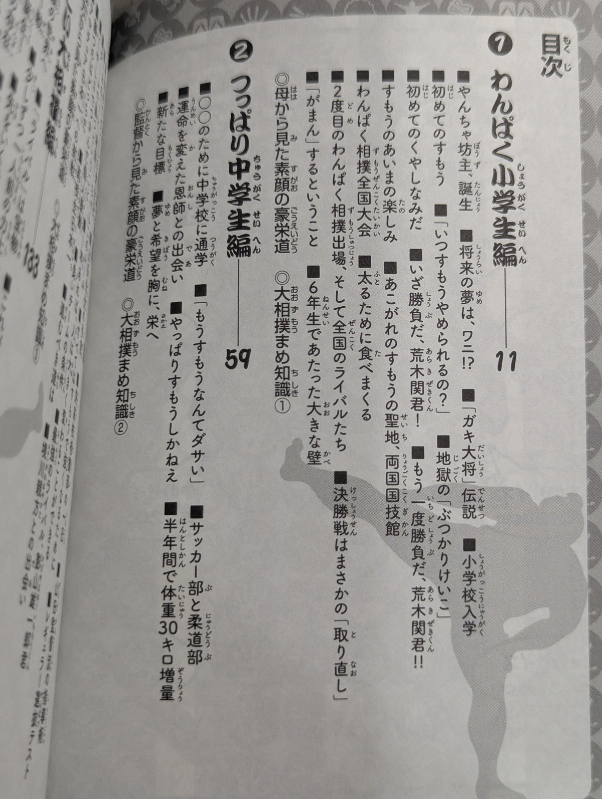 すもう道まっしぐら!