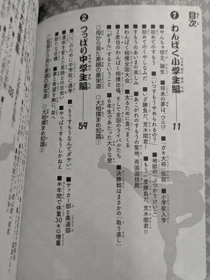 すもう道まっしぐら!