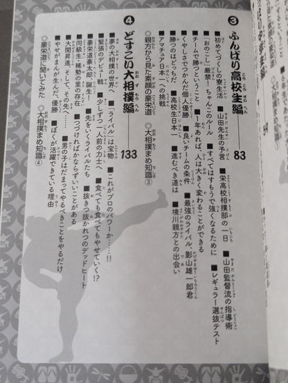 すもう道まっしぐら!