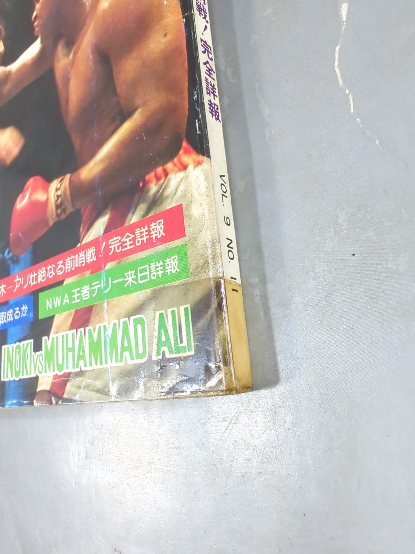 月刊ゴングVol.9 No.11