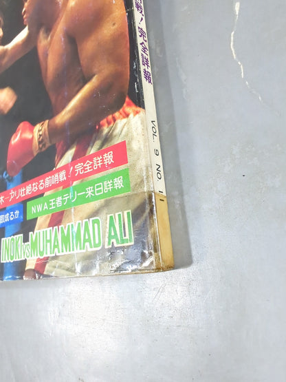 月刊ゴングVol.9 No.11