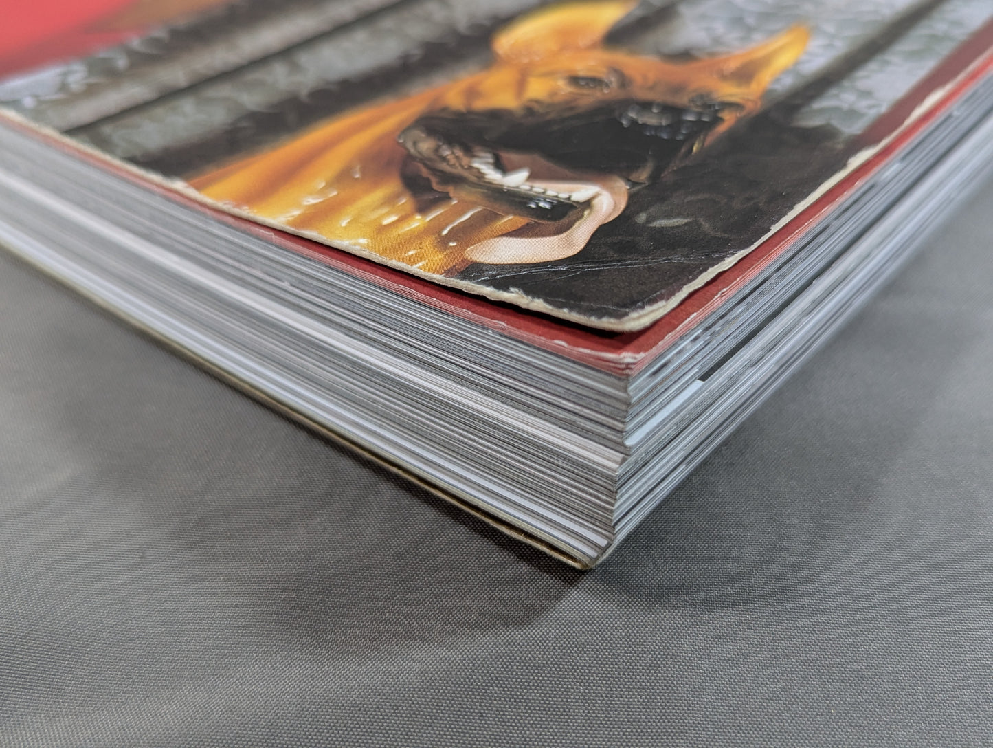 LUCHA LIBRE MASKED SUPERSTARS OF MEXICAN Wrestling