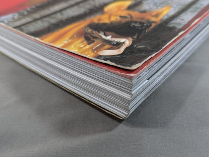 LUCHA LIBRE MASKED SUPERSTARS OF MEXICAN Wrestling