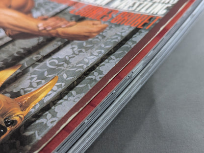 LUCHA LIBRE MASKED SUPERSTARS OF MEXICAN Wrestling