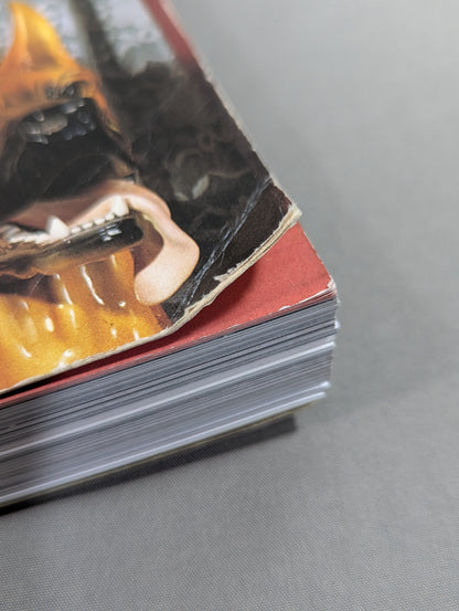 LUCHA LIBRE MASKED SUPERSTARS OF MEXICAN Wrestling